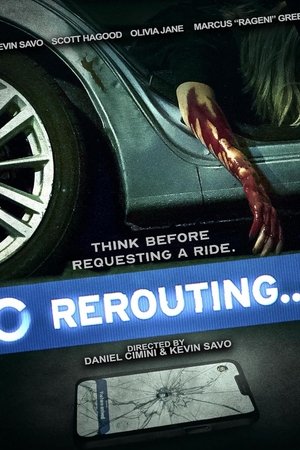 Rerouting 2024 HDRip