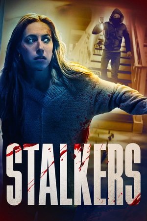 Stalkers 2025 HDRip