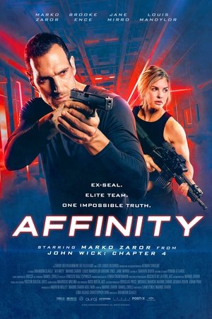 Affinity 2025 HDRip