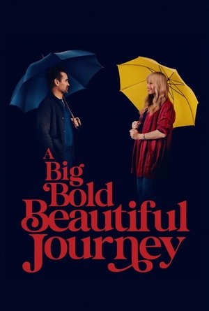 A Big Bold Beautiful Journey 2025 Dual Audio