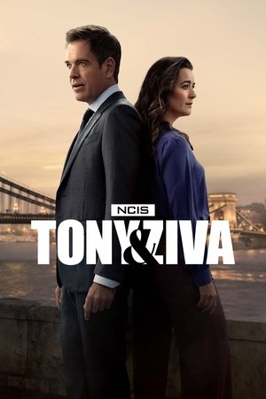 NCIS: Tony & Ziva S01 2025 Dual Audio