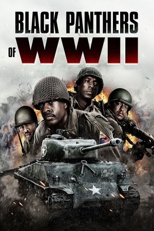Black Panthers of WWII 2025 BRRip