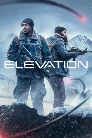 Elevation 2024 AMZN Dual Audio Hindi