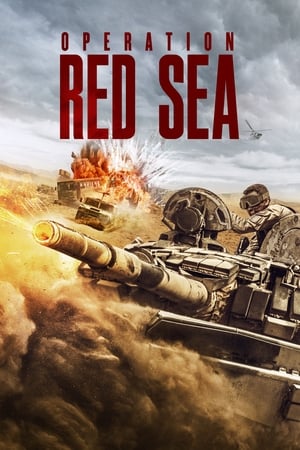 Operation Red Sea 2018 Dual Audio