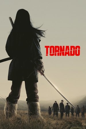 Tornado 2025 Dual Audio