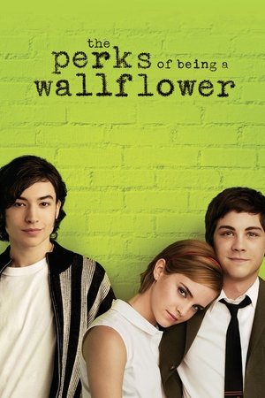 The Perks of Being a Wallflower 2012 Dual Audio