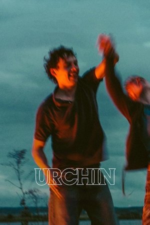 Urchin 2025 HDRip
