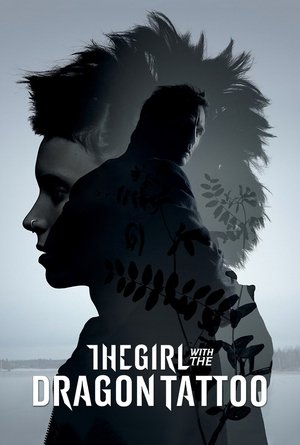 The Girl with the Dragon Tattoo 2011 Dual Audio Hindi