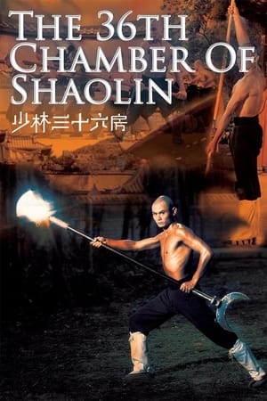 The 36th Chamber of Shaolin 1978 Dual Audio