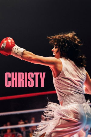 Christy 2025 AMZN Dual Audio Hindi