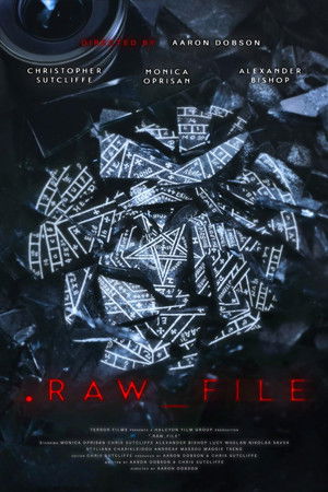 Raw File 2025 HDRip