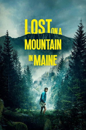 Lost on a Mountain in Maine 2024 AMZN Dual Audio Hindi