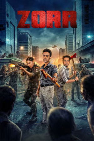 Zorr 2026 HDTS