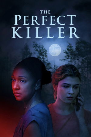 The Perfect Killer 2025 HDRip
