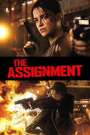 The Assignment 2016 Dual Audio