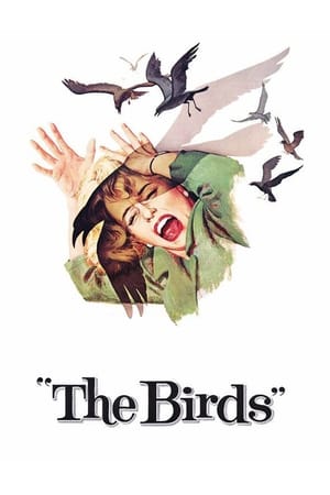The Birds 1963 Dual Audio
