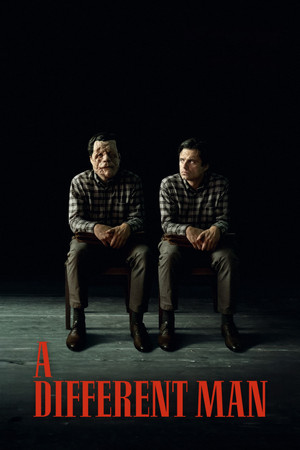 A Different Man 2024 Dual Audio