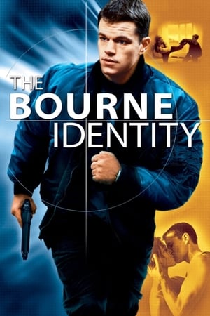 The Bourne Identity 2002 Dual Audio