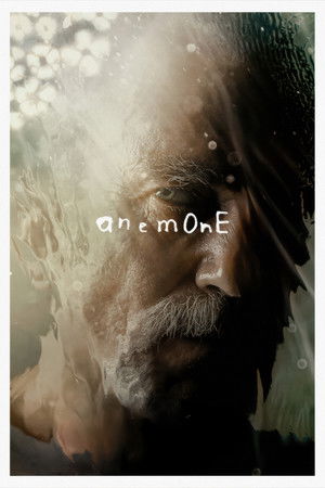 Anemone 2025 Dual Audio