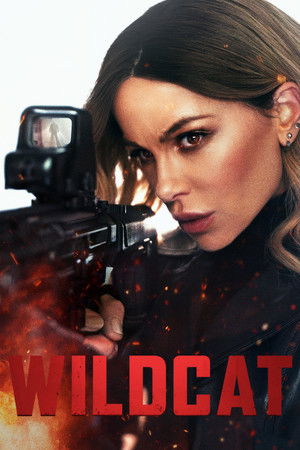 Wildcat 2025 Dual Audio Hindi