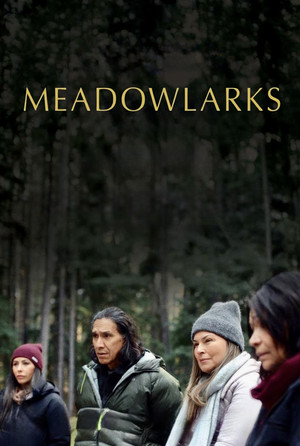 Meadowlarks 2025 HDRip