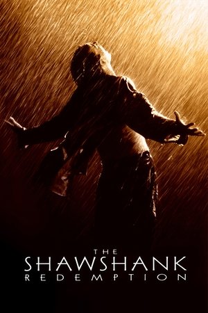 The Shawshank Redemption 1994 Dual Audio Hindi