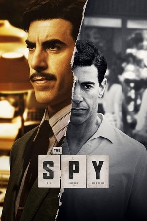 The Spy S01 2019 Dual Audio
