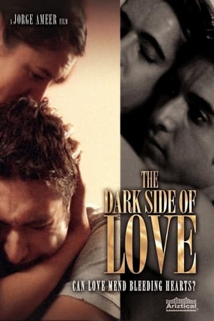 The Dark Side of Love 2012 Dual Audio