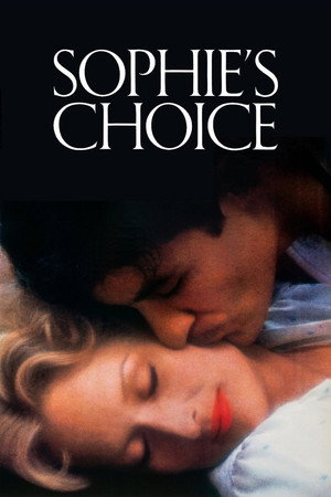 Sophie's Choice (1982) Hindi Dual Audio