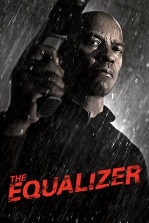 The Equalizer 2014 Dual Audio