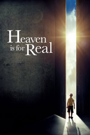 Heaven Is for Real 2014 Dual Audio