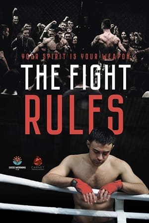 The Fight Rules 2017 Dual Audio