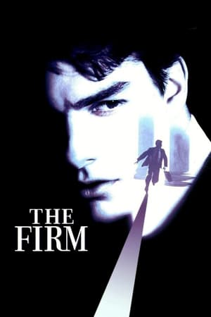 The Firm 1993 Dual Audio