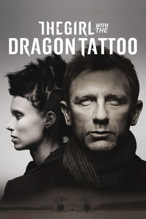 The Girl with the Dragon Tattoo 2011 Dual Audio