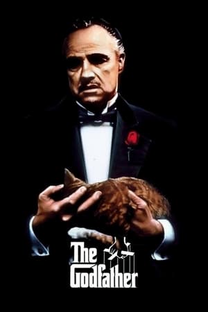 The Godfather 1972 Dual Audio