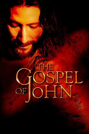 The Gospel of John 2003 Dual Audio