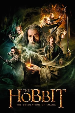 The Hobbit: The Desolation of Smaug 2013 Dual Audio