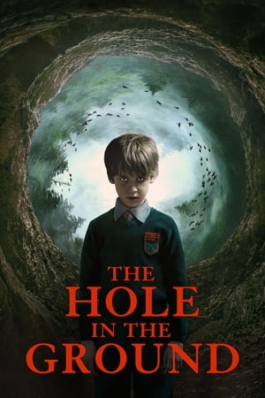 The Hole in the Ground 2019 Dual Audio