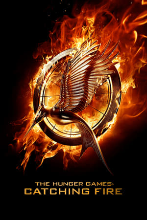 The Hunger Games: Catching Fire 2013 Dual Audio