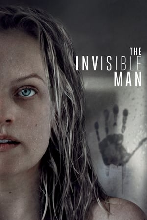 The Invisible Man 2020 Dual Audio