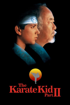 The Karate Kid Part II 1986 Dual Audio