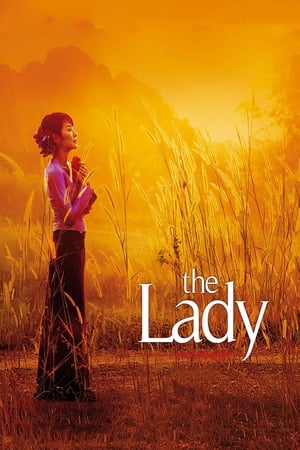 The Lady 2011 Dual Audio