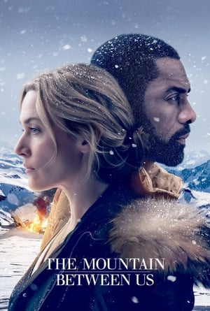 The Mountain Between Us 2017 Dual Audio