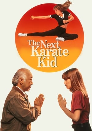 The Next Karate Kid 1994 Dual Audio