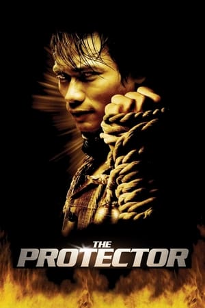 The Protector 2006 Dual Audio