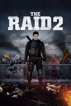 The Raid 2 2014 Dual Audio