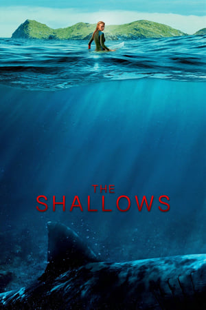 The Shallows 2016 Dual Audio