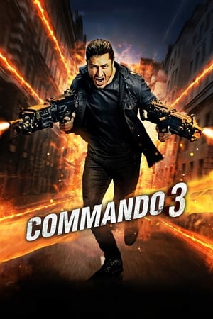 Commando 3 2019 BRRIp