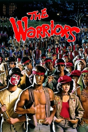 The Warriors 1979 Dual Audio