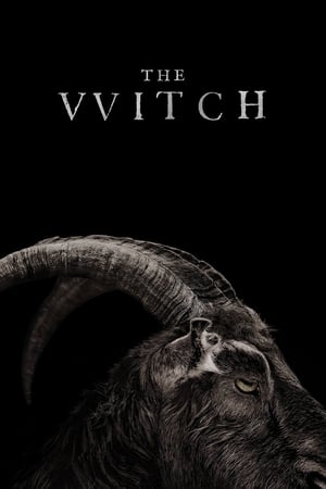 The Witch 2015 Dual Audio